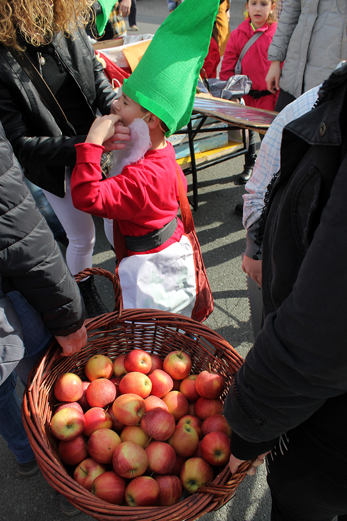 Carnevale Alpignano (15).jpg